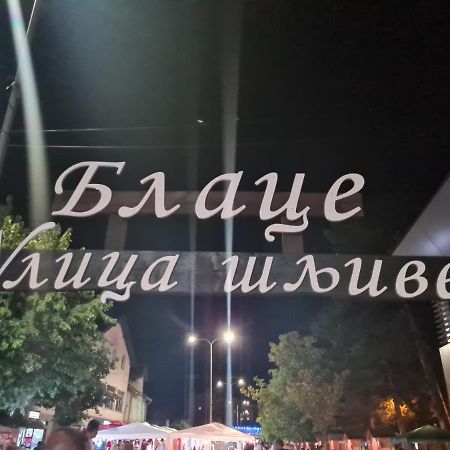 Apartmán Domacinstvo Trifunovic Pretresnja Exteriér fotografie