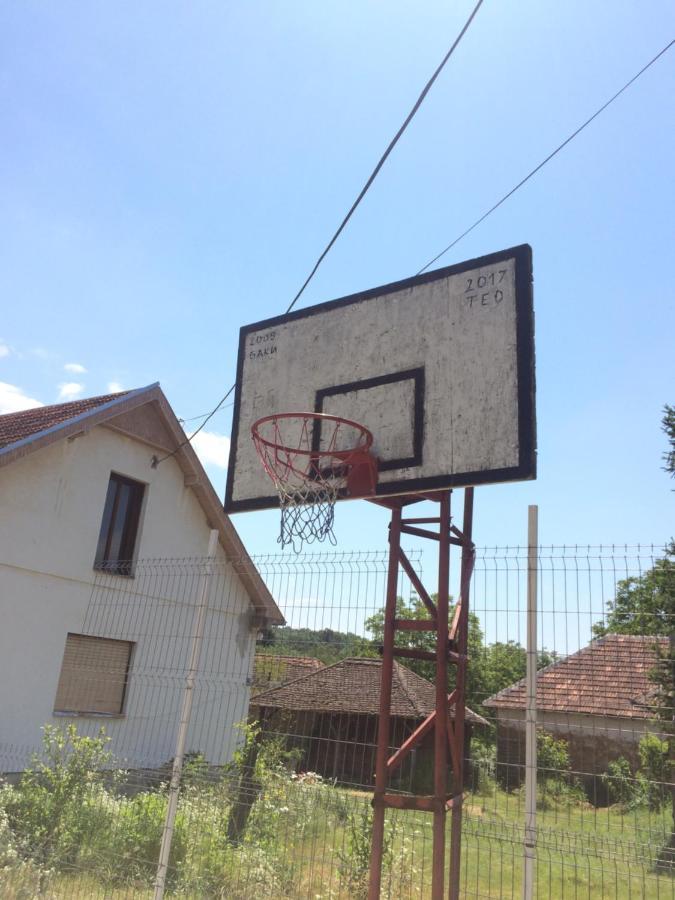 Apartmán Domacinstvo Trifunovic Pretresnja Exteriér fotografie