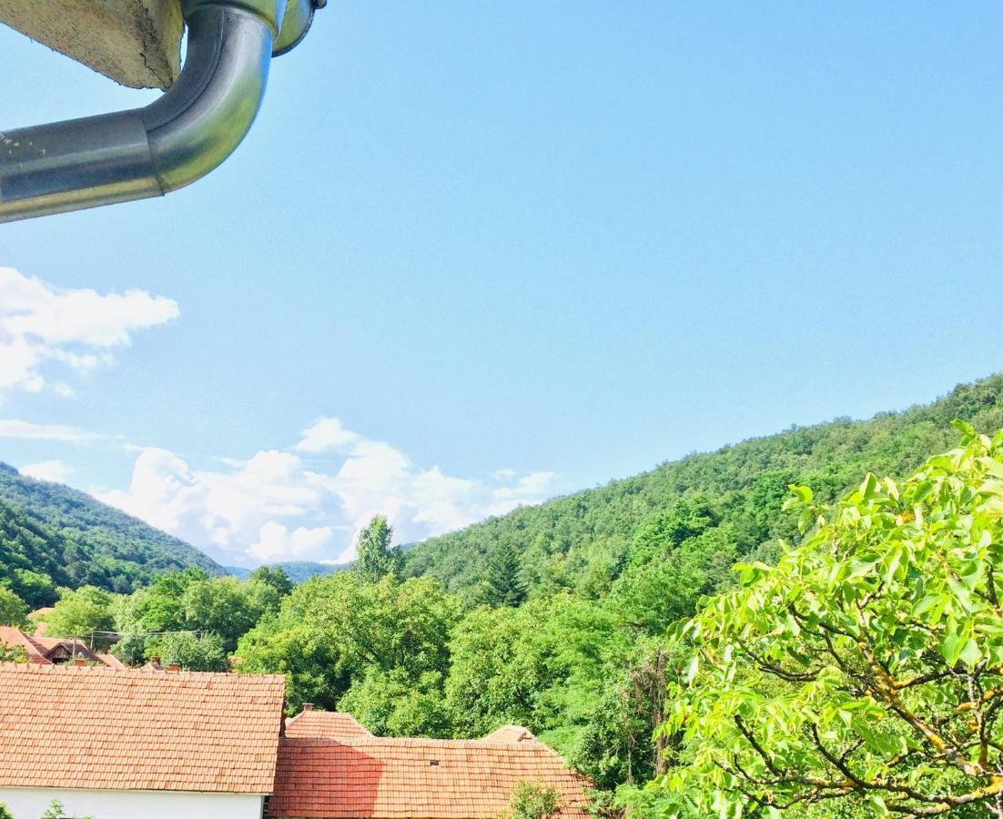 Apartmán Domacinstvo Trifunovic Pretresnja Exteriér fotografie
