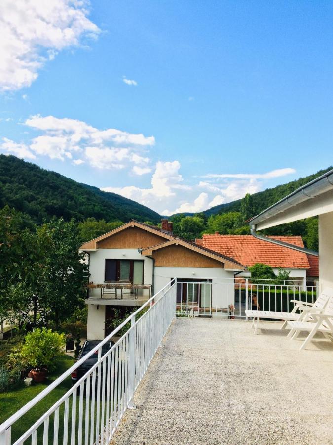 Apartmán Domacinstvo Trifunovic Pretresnja Exteriér fotografie