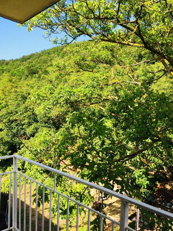 Apartmán Domacinstvo Trifunovic Pretresnja Exteriér fotografie