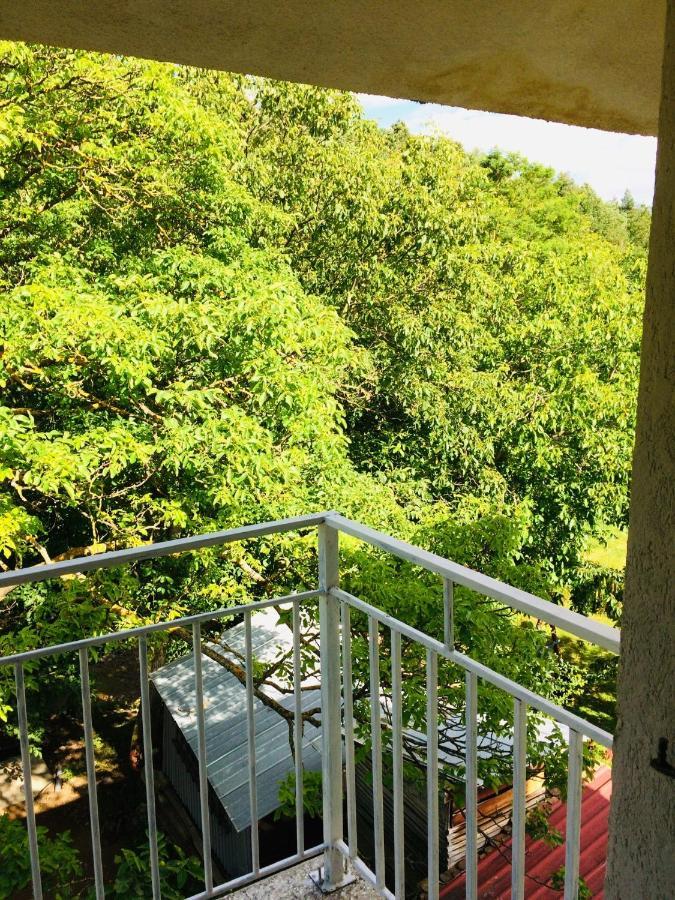 Apartmán Domacinstvo Trifunovic Pretresnja Exteriér fotografie