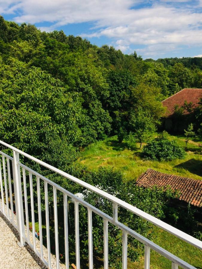 Apartmán Domacinstvo Trifunovic Pretresnja Exteriér fotografie