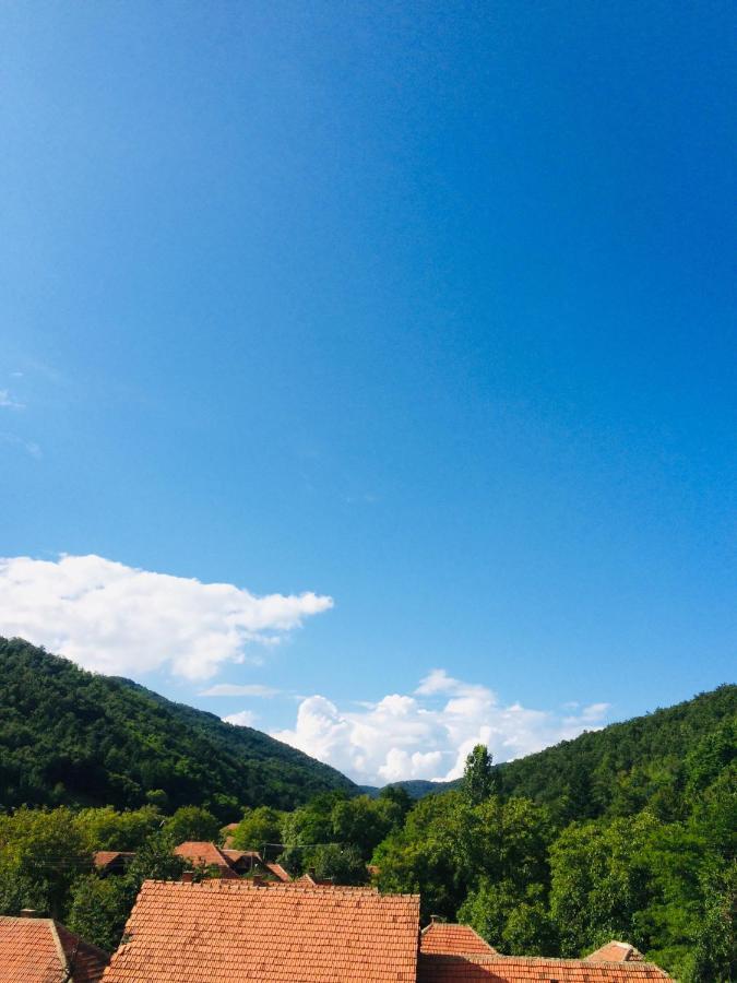 Apartmán Domacinstvo Trifunovic Pretresnja Exteriér fotografie