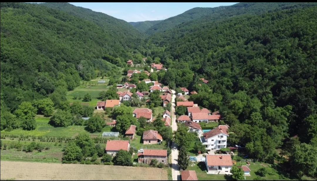 Apartmán Domacinstvo Trifunovic Pretresnja Exteriér fotografie