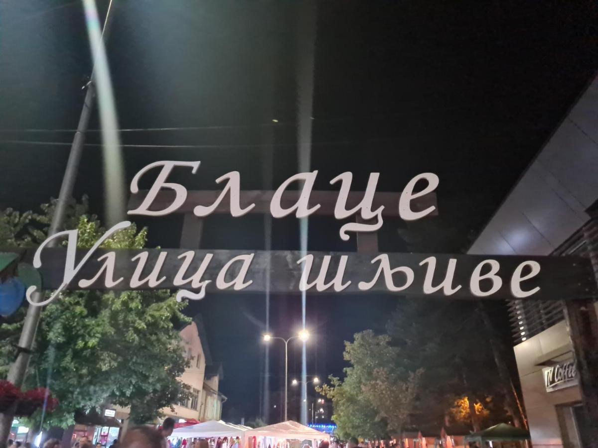 Apartmán Domacinstvo Trifunovic Pretresnja Exteriér fotografie